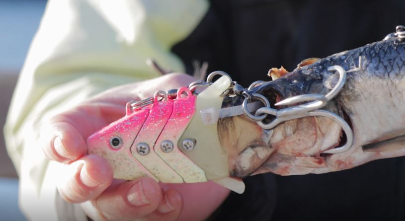 Adrenalin Dead Bait pink