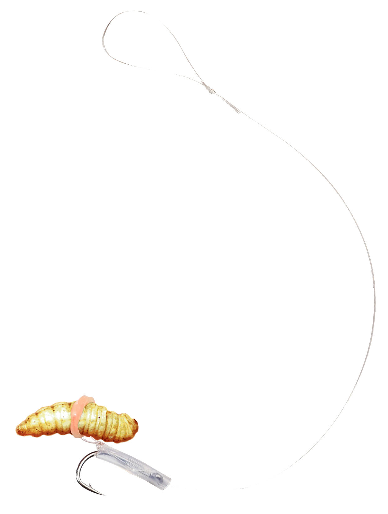 Trout Attack Bienenmaden Hair Rig 60cm 0,18mm #10