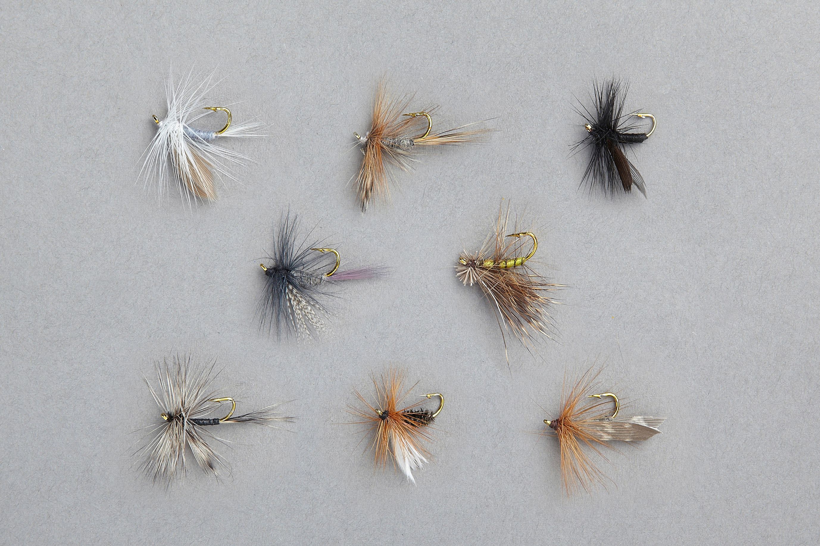 Edition Fly Trockenfliegen-Sortiment