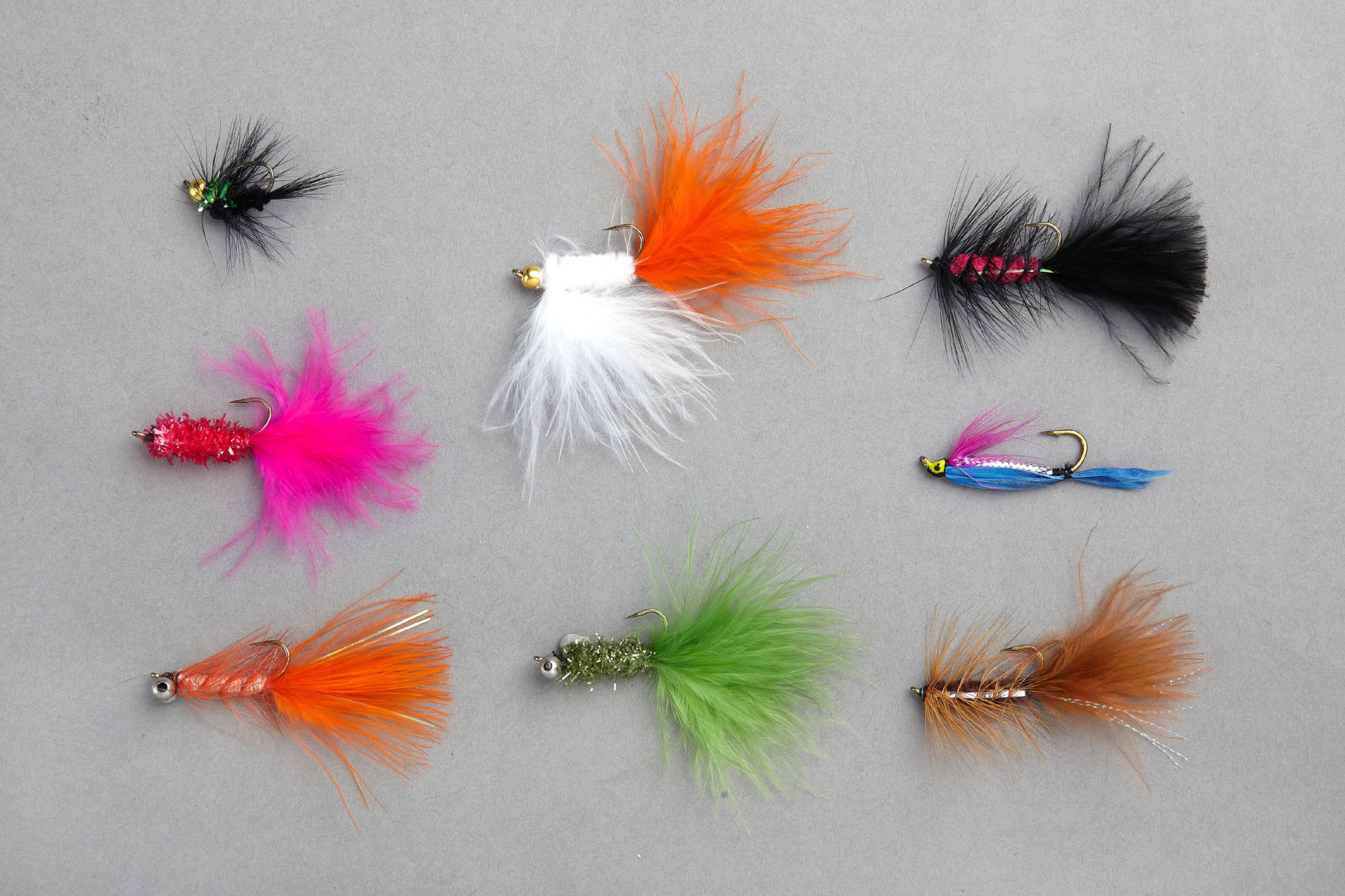 Edition Fly Regenbogenforellen Sortiment