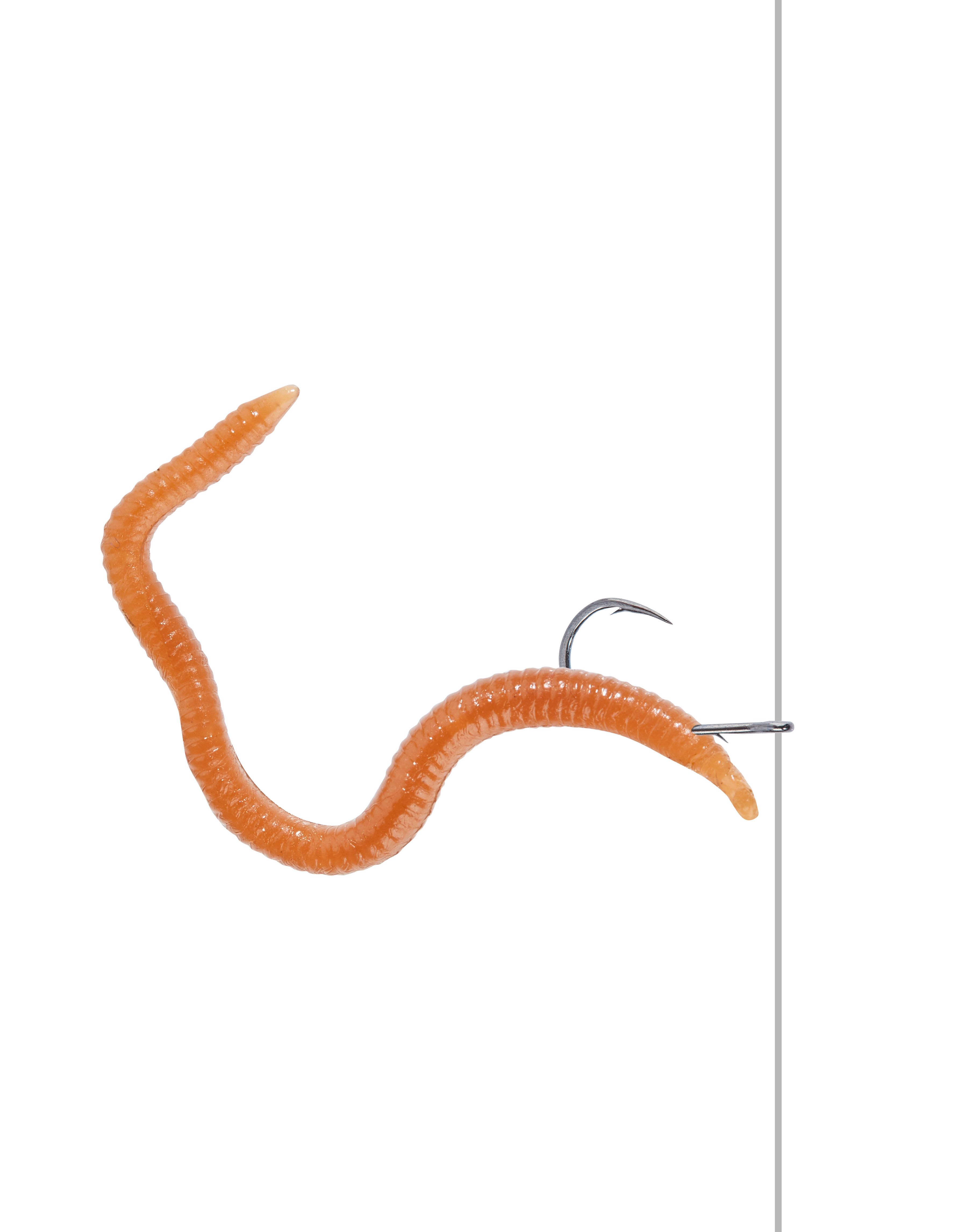 Shirasu Drop Shot Rig Wurm 0,27mm #4