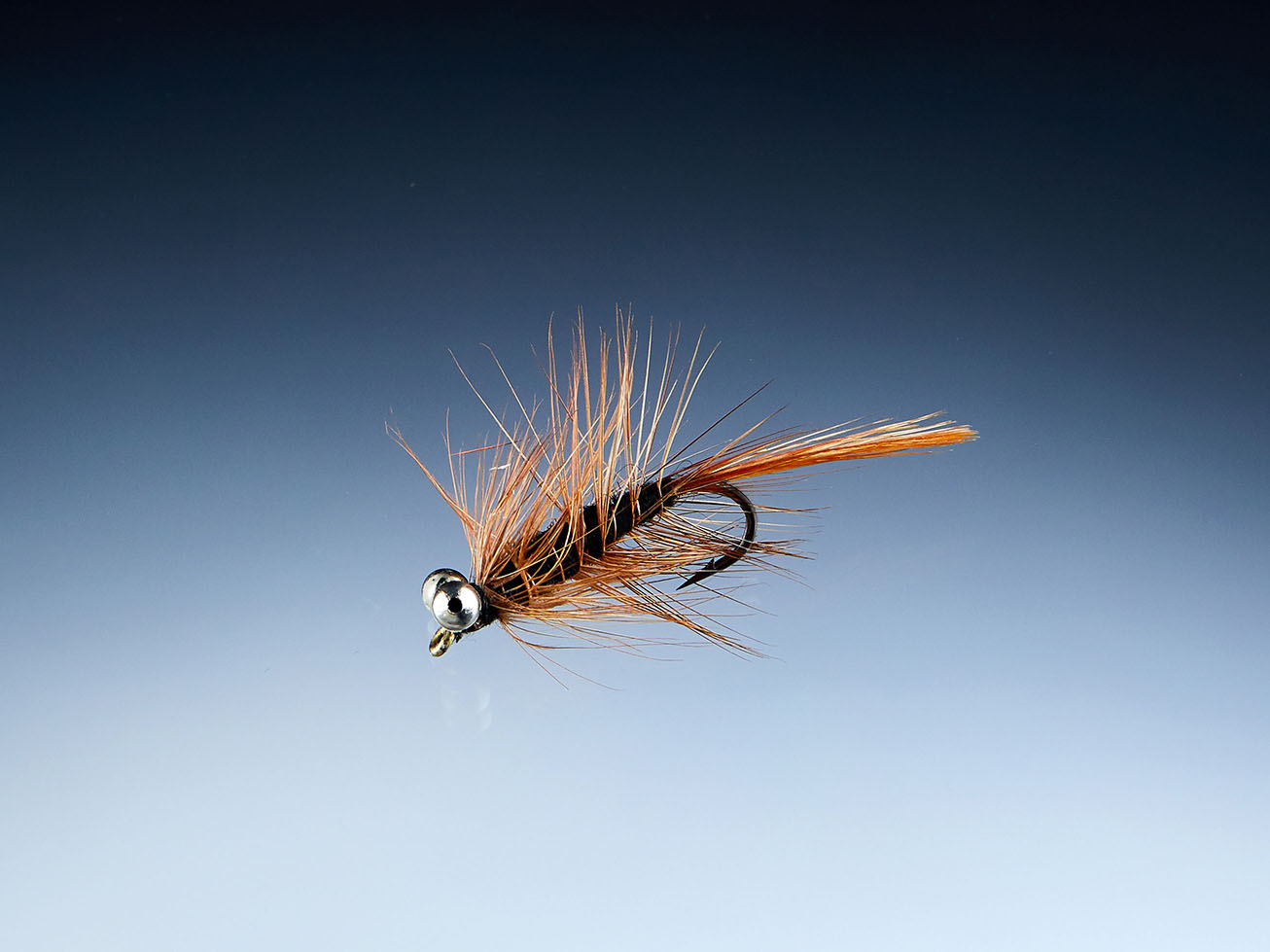 Brown Magnus