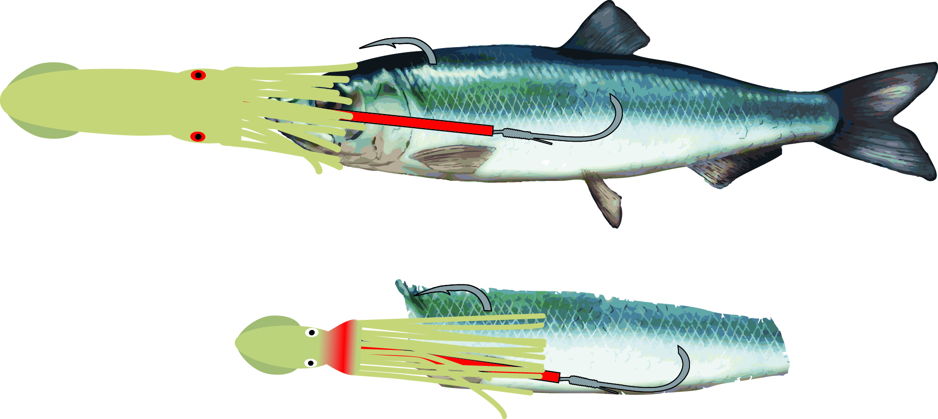 71° North Spezi Seehecht System 165cm 0,90mm