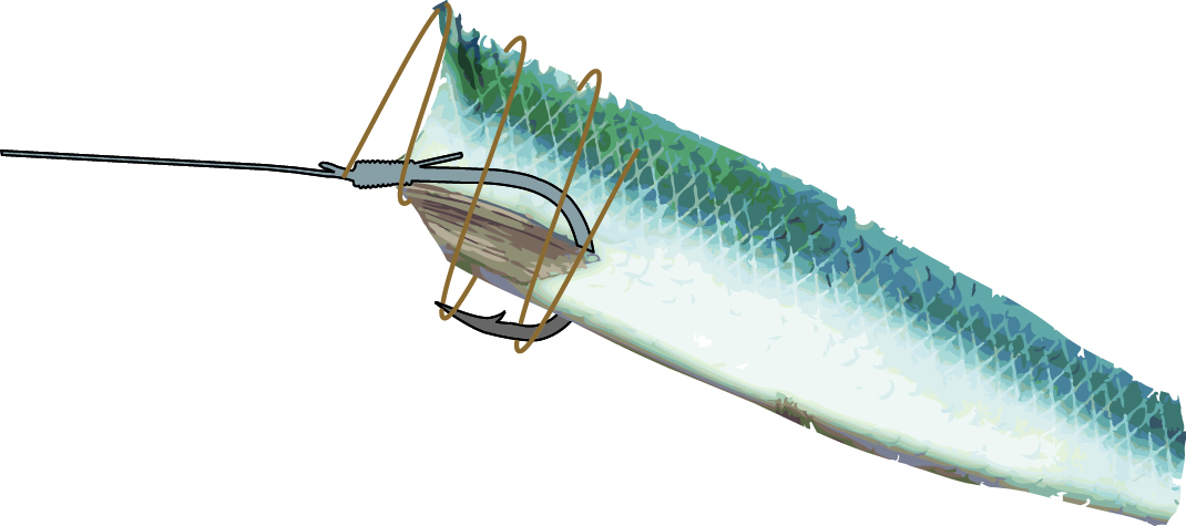 71° North Spezi Seewolf System 150cm 0,90mm 2x6/0