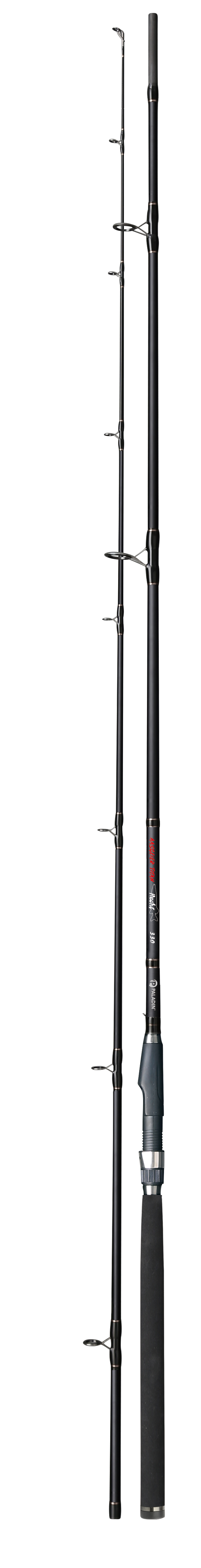 Aasgeier Titan Hecht ,3,3.0-2,25-90G