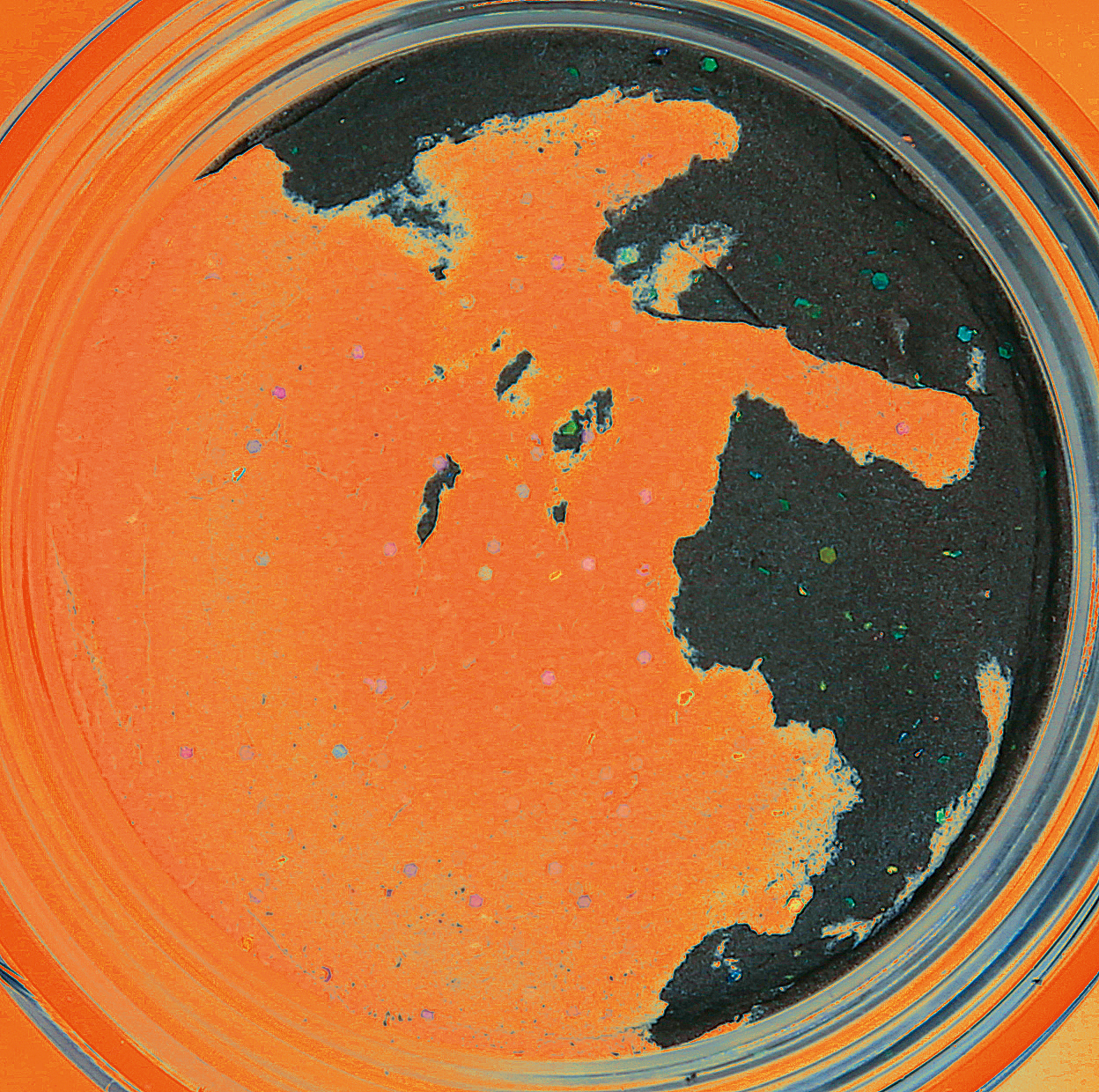 Forellenteig Fluoorange/Schwarz