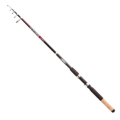 Angelrute Tele Centurio 20-50g