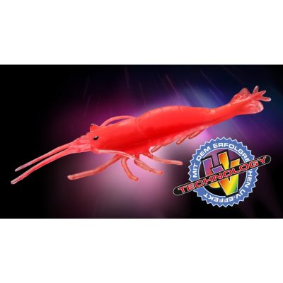 Shrimps 6 St./SB japan-red