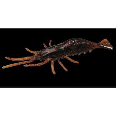 Real Shrimp, 5/Blist. Mot.-Oil