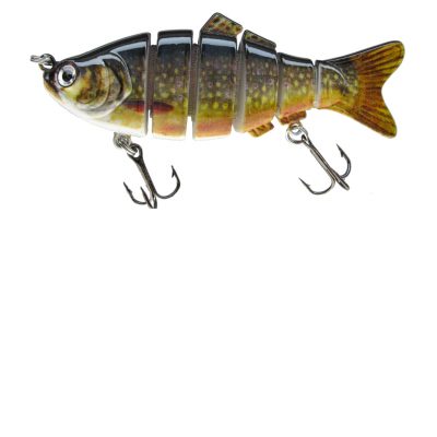 Jeronimo Junior 10 cm Saibling
