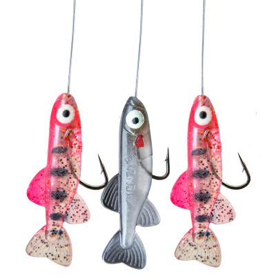 Hegene Mit Fischli's  Color R