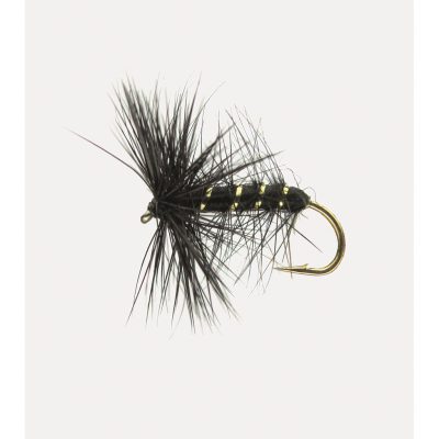 Trockenfl. 'black Palmer'