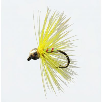 Nymphe Goldk. Yellow 14