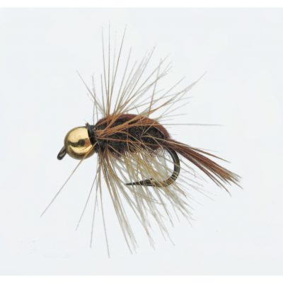 Nymphe Goldk. Shrimp 14