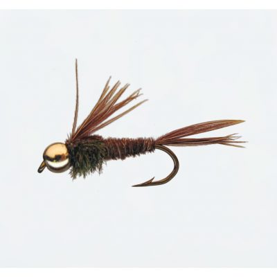 Nymphe Goldk. Ph.Tail 14