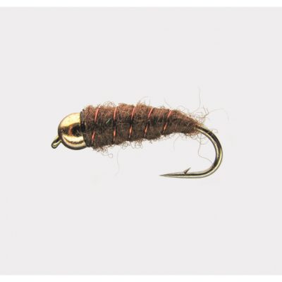 Nymphe Goldk. Brown 10