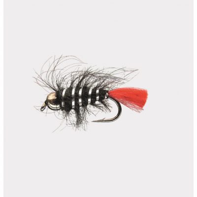 Nymphe Goldk. Black 12