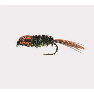 Ritz Nymph D Royal Ny 14