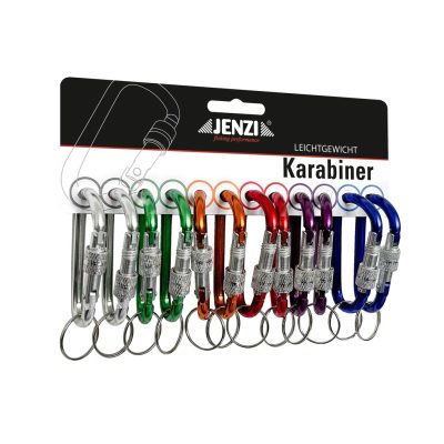 Karabiner mit Ring