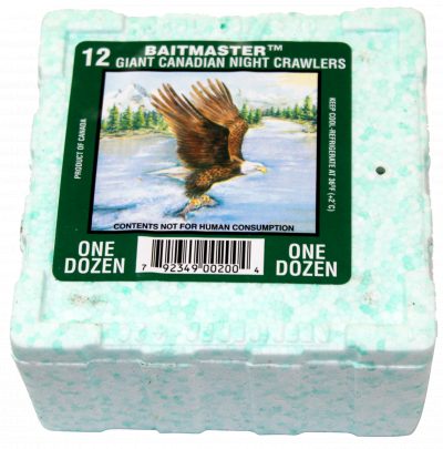 Tauwurm Inh.12 Stk. NBC Thermobox
