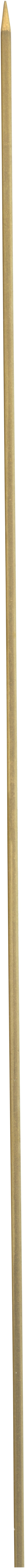Wurmnadel 50 cm