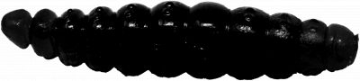 Omura Baits Larvy Käse 3,5 cm Schwarz