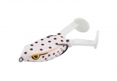 Paddle Frog Albino