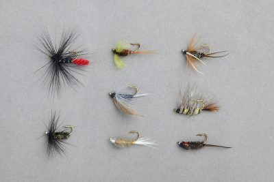 Edition Fly Nassfliegen-/Nymphensortiment