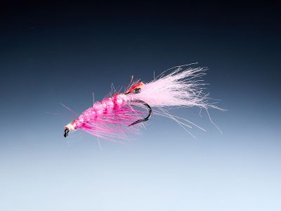 Pink Shrimp